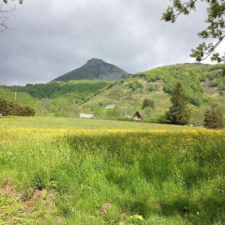 Chalet Avec Vue Panoramique Sur Le Plomb Du Cantal Villa Saint-Jacques-des-Blats Luaran gambar