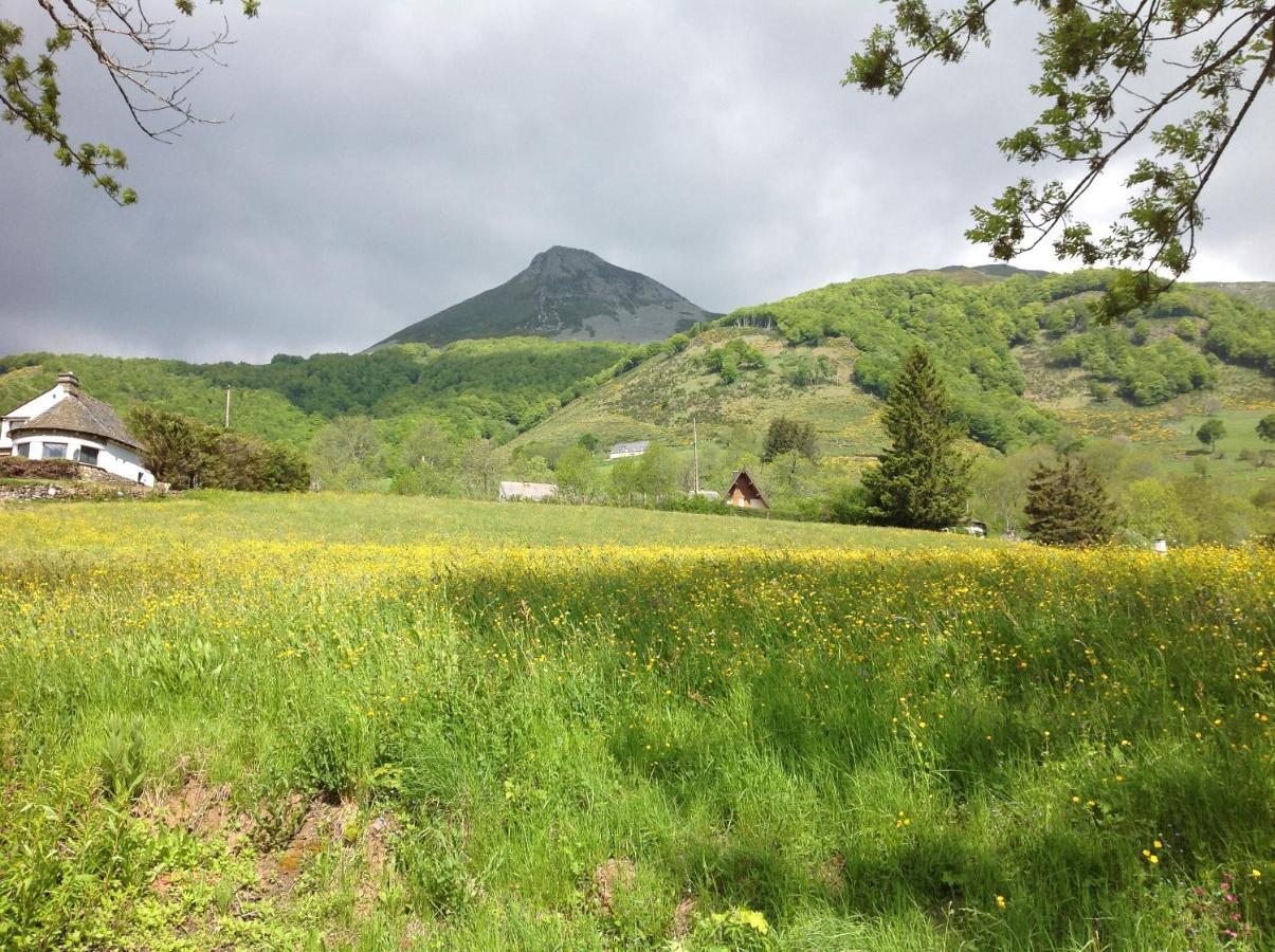 Chalet Avec Vue Panoramique Sur Le Plomb Du Cantal Villa Saint-Jacques-des-Blats Luaran gambar