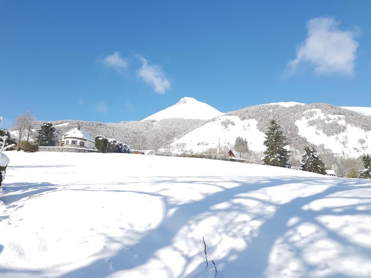 Chalet Avec Vue Panoramique Sur Le Plomb Du Cantal Villa Saint-Jacques-des-Blats Luaran gambar