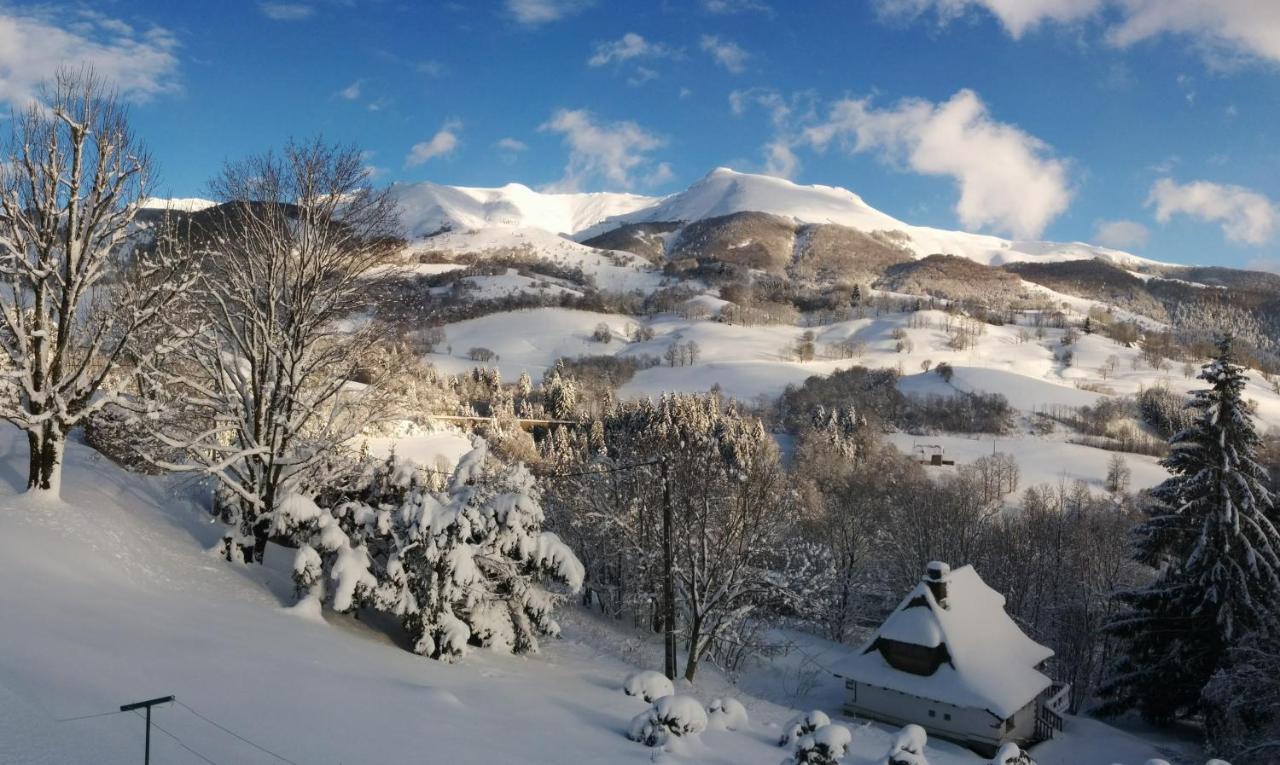 Chalet Avec Vue Panoramique Sur Le Plomb Du Cantal Villa Saint-Jacques-des-Blats Luaran gambar