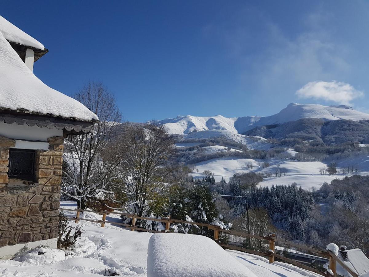 Chalet Avec Vue Panoramique Sur Le Plomb Du Cantal Villa Saint-Jacques-des-Blats Luaran gambar