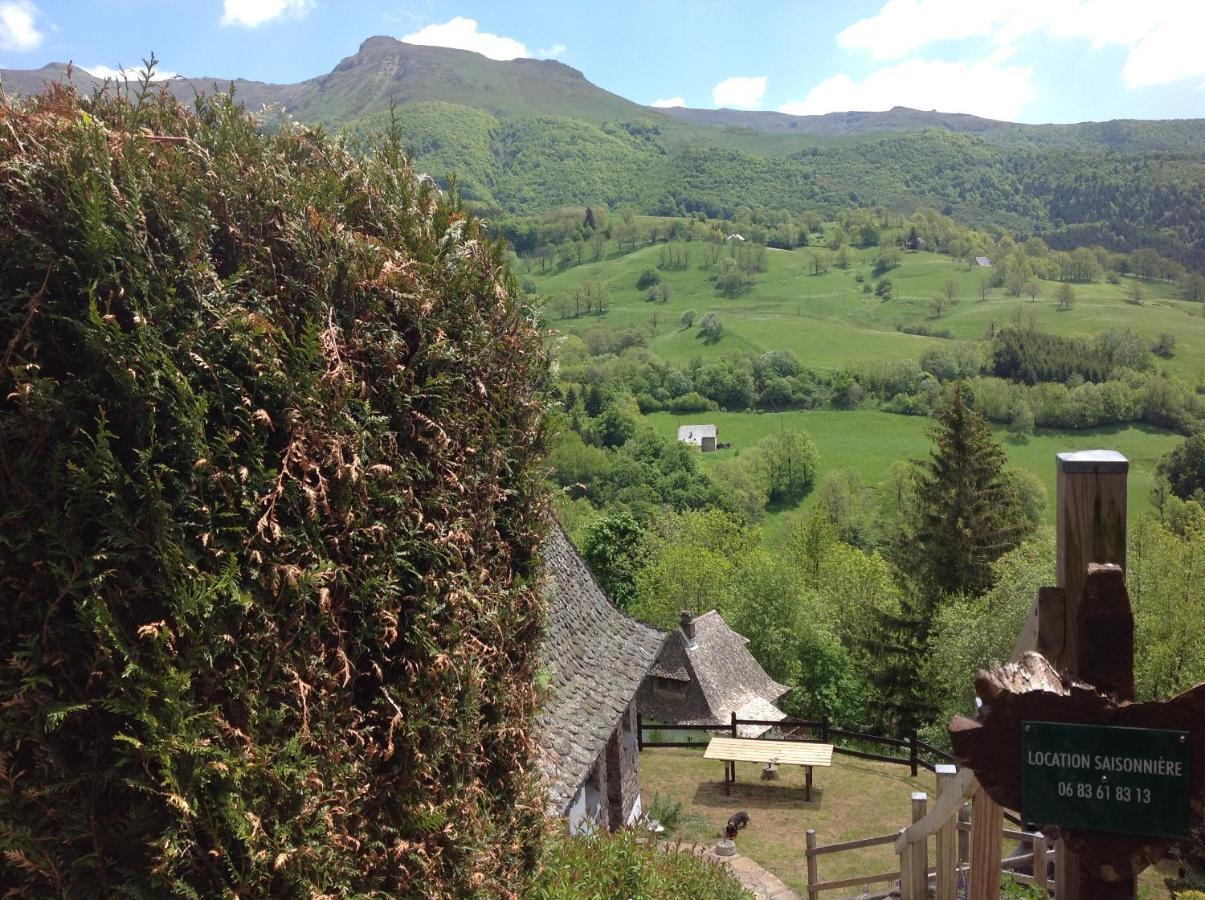 Chalet Avec Vue Panoramique Sur Le Plomb Du Cantal Villa Saint-Jacques-des-Blats Luaran gambar