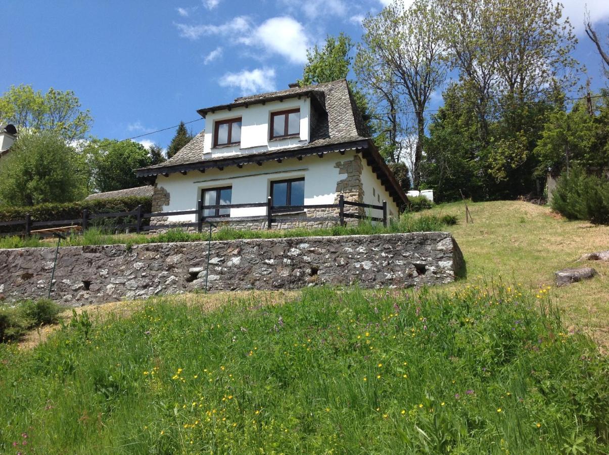 Chalet Avec Vue Panoramique Sur Le Plomb Du Cantal Villa Saint-Jacques-des-Blats Luaran gambar