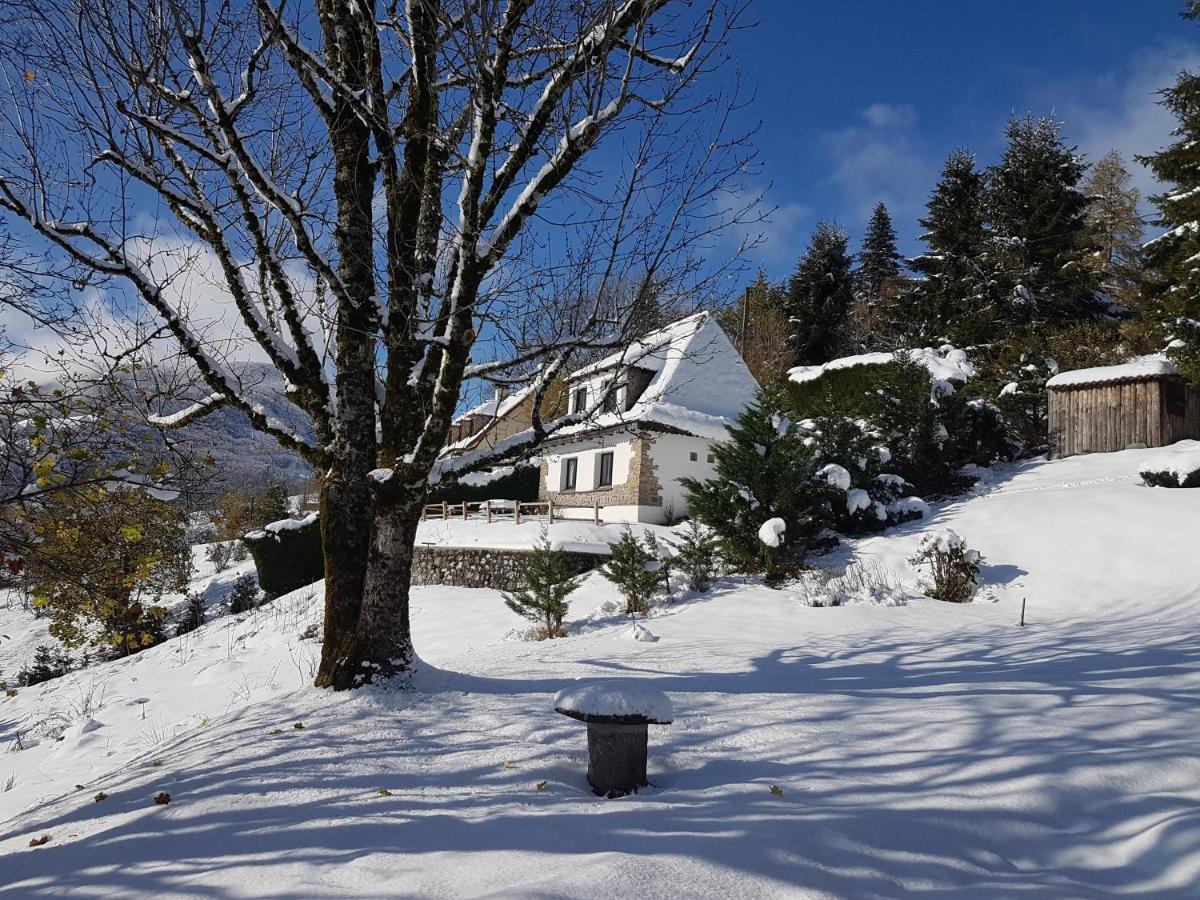 Chalet Avec Vue Panoramique Sur Le Plomb Du Cantal Villa Saint-Jacques-des-Blats Luaran gambar