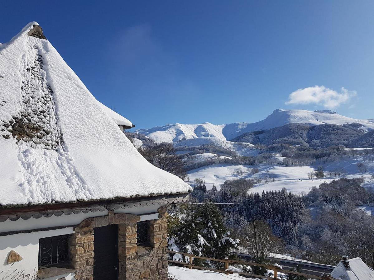 Chalet Avec Vue Panoramique Sur Le Plomb Du Cantal Villa Saint-Jacques-des-Blats Luaran gambar