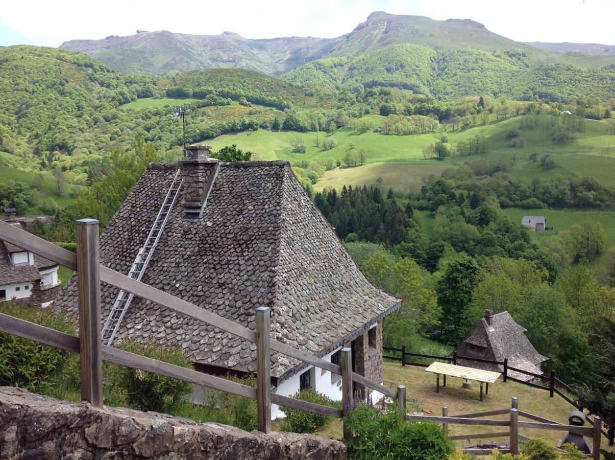 Chalet Avec Vue Panoramique Sur Le Plomb Du Cantal Villa Saint-Jacques-des-Blats Luaran gambar